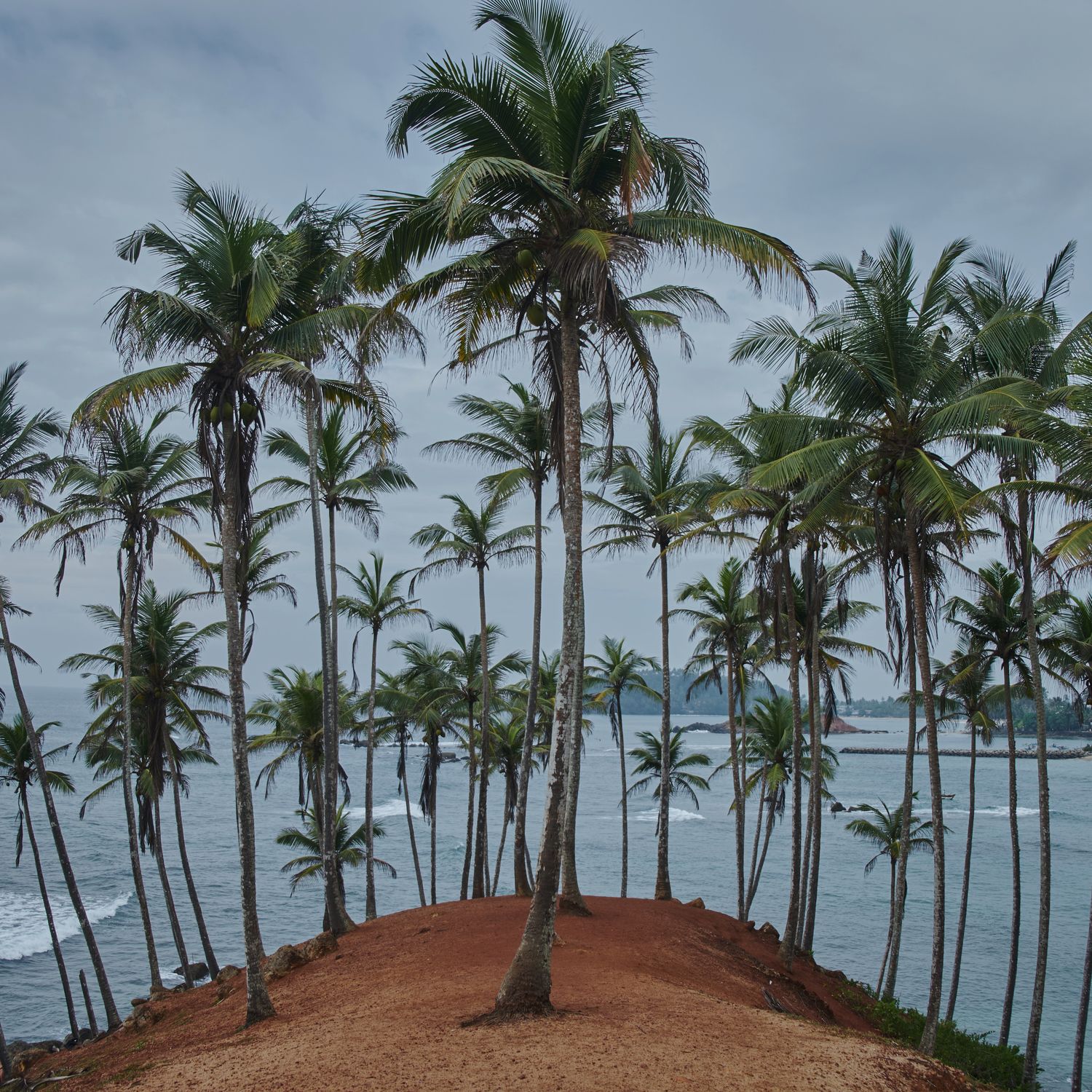 Mirissa